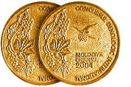 VM-2004.png